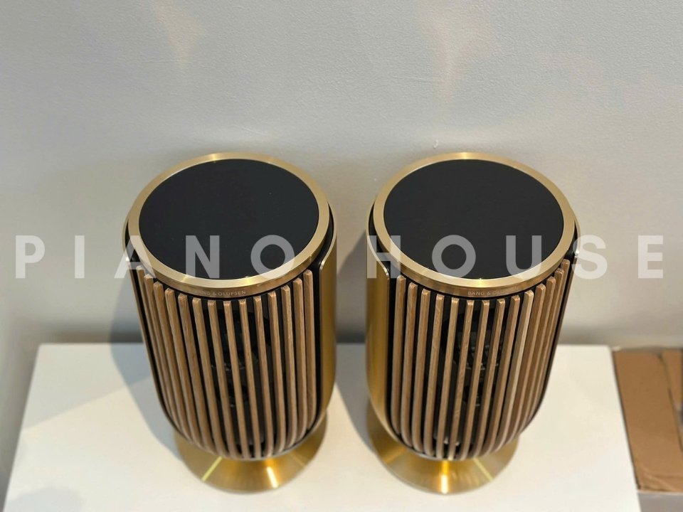 Chi tiết Loa B&O Beolab 8 Gold (Openbox 99%) - Hình 4